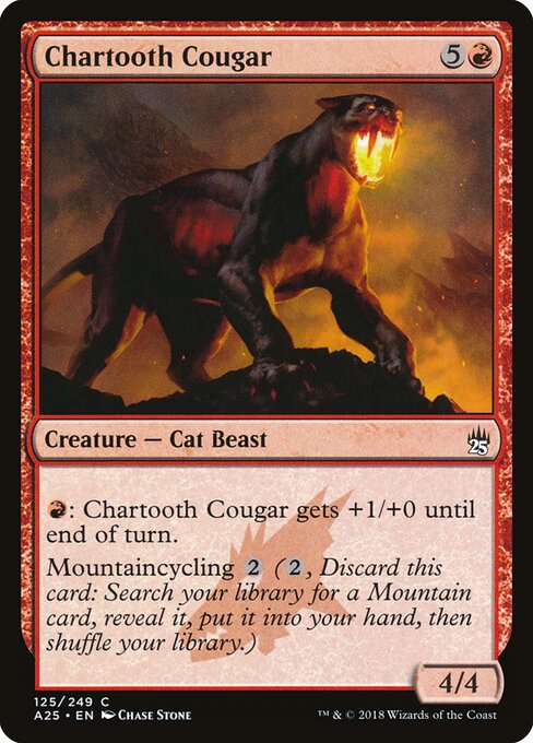 Chartooth Cougar - Masters 25 - 125