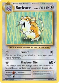 Raticate - XY - Evolutions - 67/108