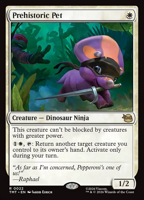 Prehistoric Pet - Teenage Mutant Ninja Turtles - 22