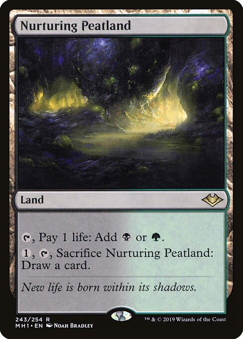 Nurturing Peatland - Modern Horizons - 243