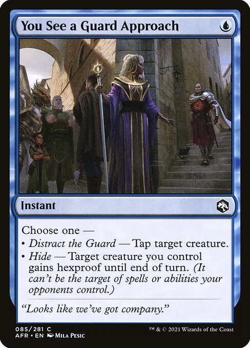 You See a Guard Approach - Adventures in the Forgotten Realms - 85