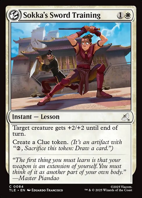 Sokka's Sword Training - Avatar: The Last Airbender Eternal - 84