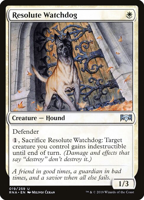 Resolute Watchdog - Ravnica Allegiance - 19
