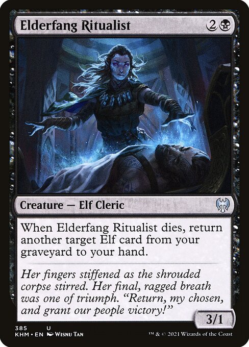 Elderfang Ritualist - Kaldheim - 385