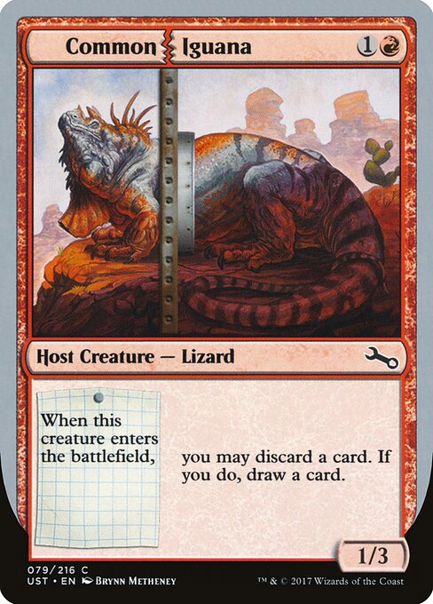 Common Iguana - Unstable - 79