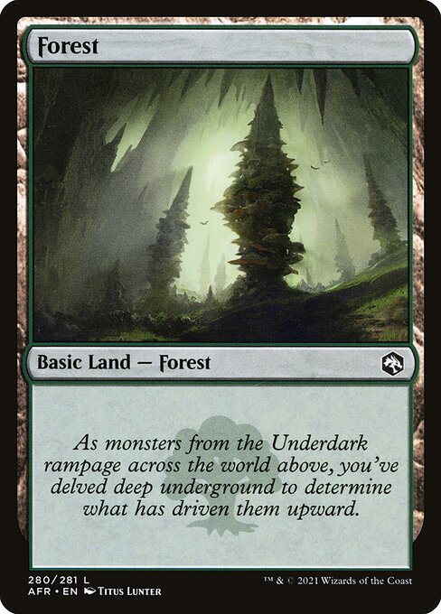 Forest - Adventures in the Forgotten Realms - 280