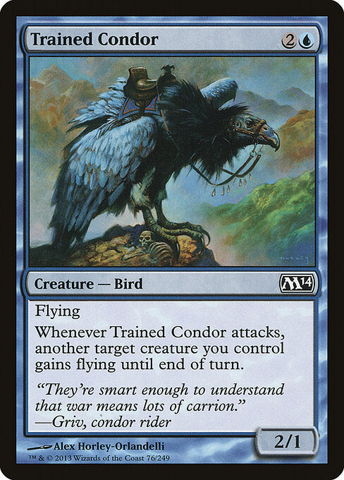 Trained Condor - Magic 2014 - 76