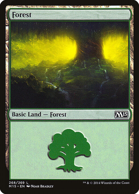 Forest - Magic 2015 - 268