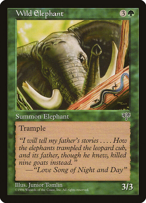 Wild Elephant - Mirage - 254