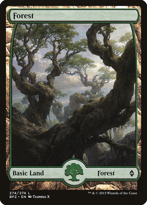 Forest - Battle for Zendikar - 274