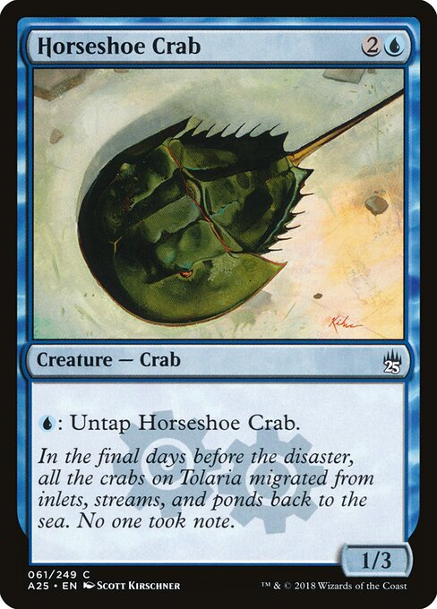 Horseshoe Crab - Masters 25 - 61