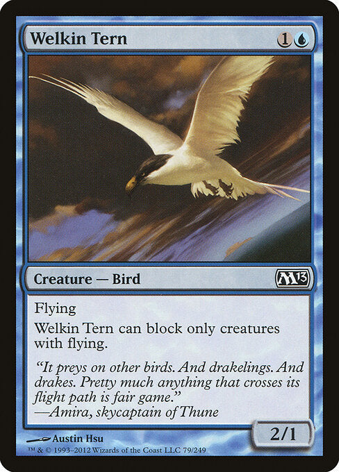 Welkin Tern - Magic 2013 - 79