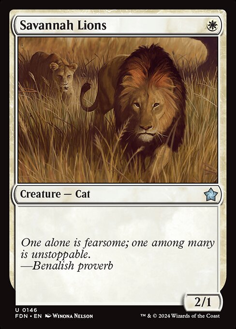 Savannah Lions - Foundations - 146