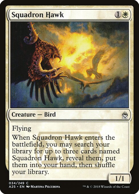 Squadron Hawk - Masters 25 - 34