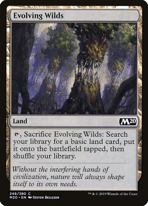 Evolving Wilds - Core Set 2020 - 246