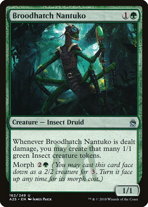 Broodhatch Nantuko - Masters 25 - 162