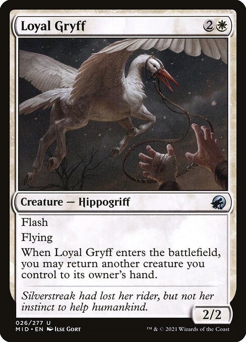 Loyal Gryff - Innistrad: Midnight Hunt - 26