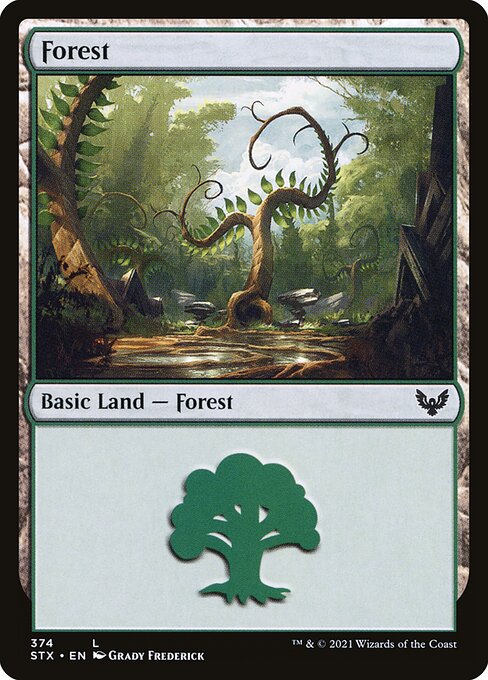 Forest - Strixhaven: School of Mages - 374