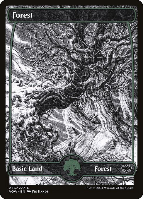 Forest - Innistrad: Crimson Vow - 276