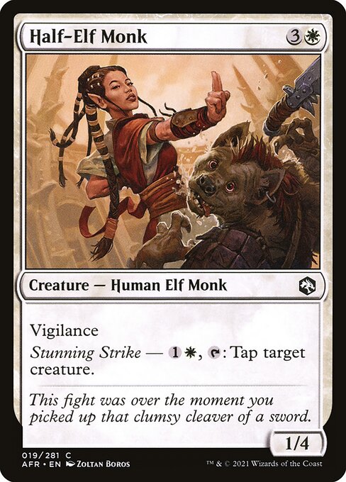 Half-Elf Monk - Adventures in the Forgotten Realms - 19