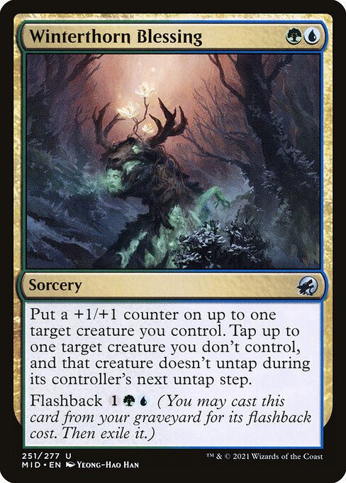 Winterthorn Blessing - Innistrad: Midnight Hunt - 251