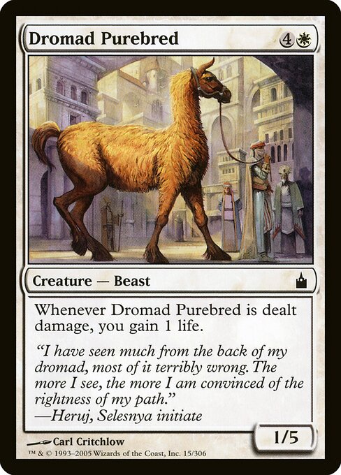 Dromad Purebred - Ravnica: City of Guilds - 15