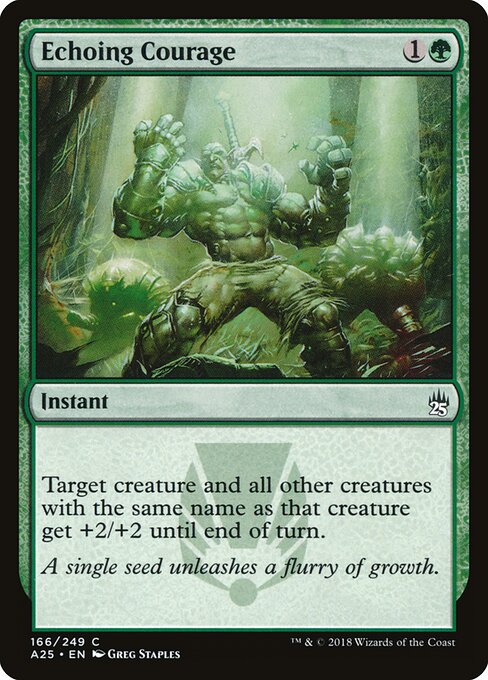 Echoing Courage - Masters 25 - 166