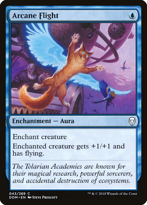 Arcane Flight - Dominaria - 43