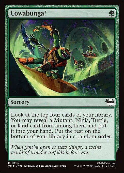 Cowabunga! - Teenage Mutant Ninja Turtles - 113