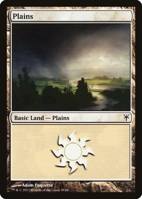 Plains - Duel Decks: Sorin vs. Tibalt - 38