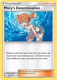 Misty's Determination - Hidden Fates - 62/68