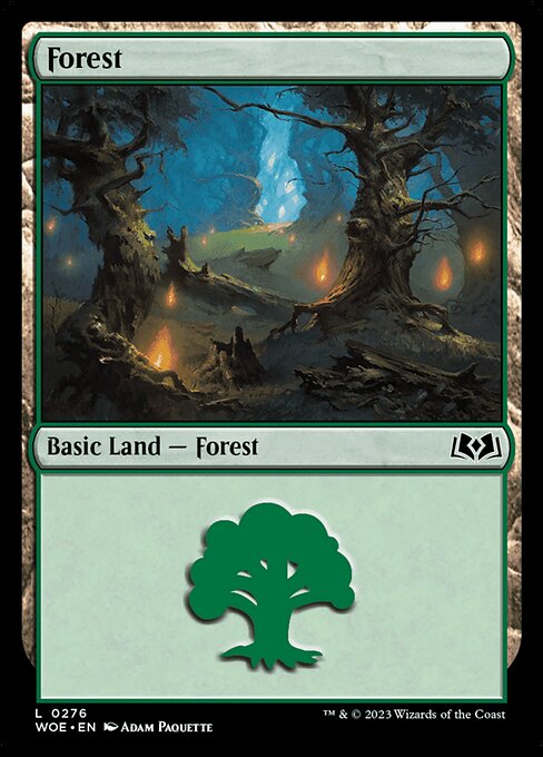 Forest - Wilds of Eldraine - 276