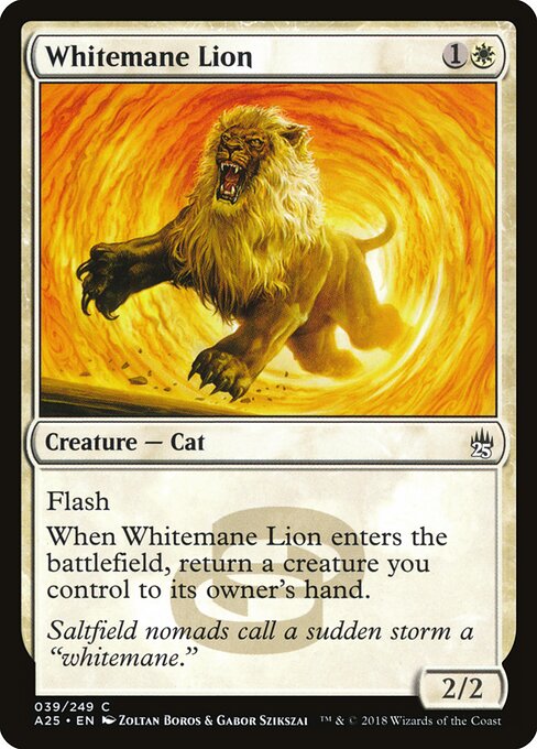 Whitemane Lion - Masters 25 - 39