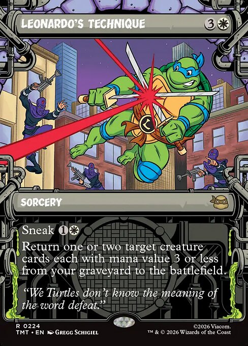 Leonardo's Technique - Teenage Mutant Ninja Turtles - 224