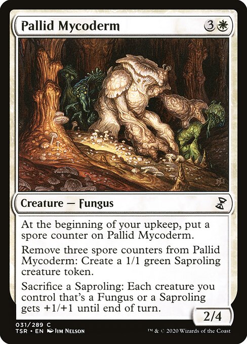 Pallid Mycoderm - Time Spiral Remastered - 31