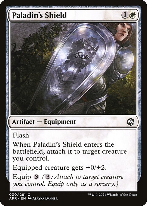 Paladin's Shield - Adventures in the Forgotten Realms - 30