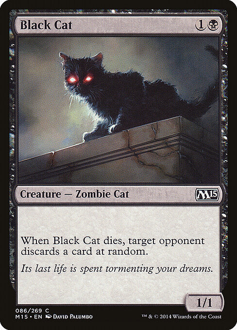Black Cat - Magic 2015 - 86