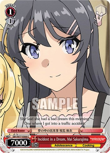 Incident in a Dream, Mai Sakurajima [Rascal Does Not Dream of a Dreaming Girl]