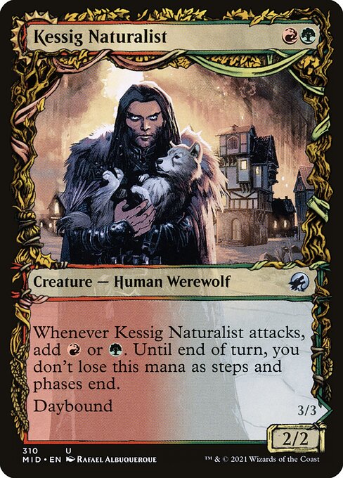 Kessig Naturalist // Lord of the Ulvenwald - Innistrad: Midnight Hunt - 310