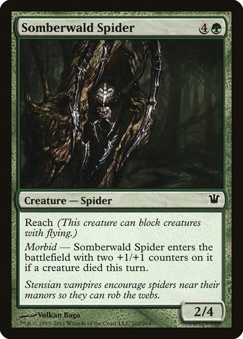 Somberwald Spider - Innistrad - 202