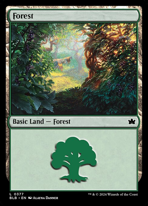 Forest - Bloomburrow - 377