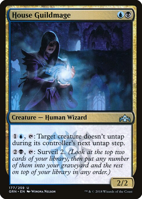 House Guildmage - Guilds of Ravnica - 177