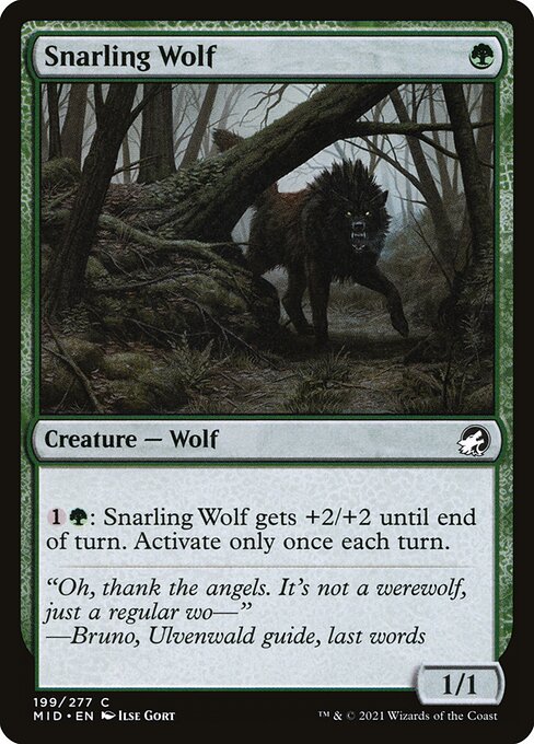 Snarling Wolf - Innistrad: Midnight Hunt - 199