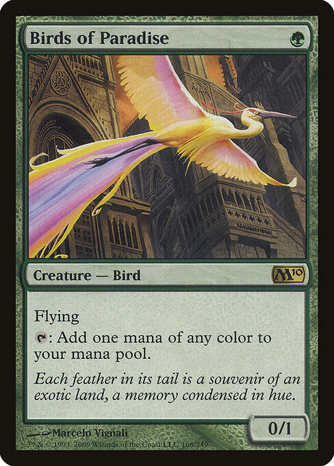 Birds of Paradise - Magic 2010 - 168