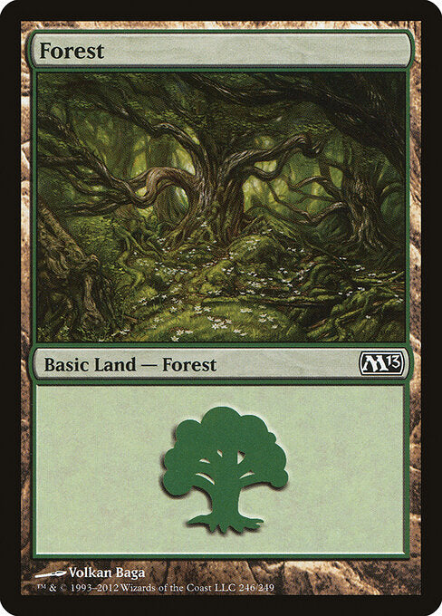 Forest - Magic 2013 - 246