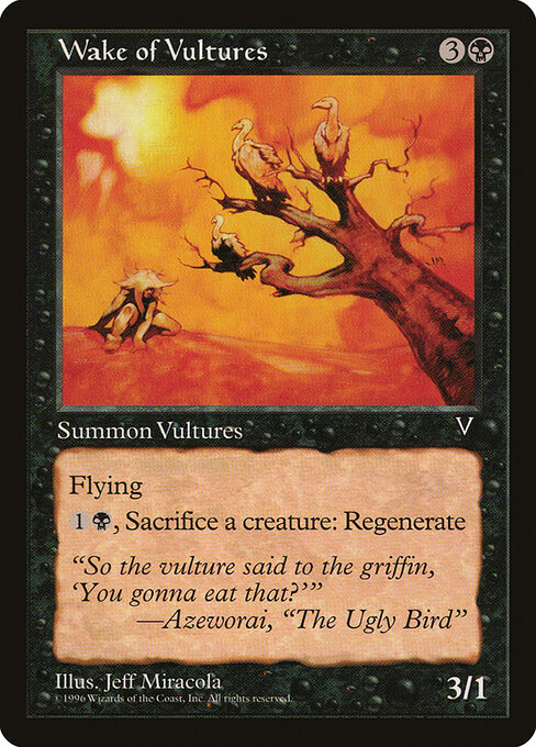 Wake of Vultures - Visions - 74