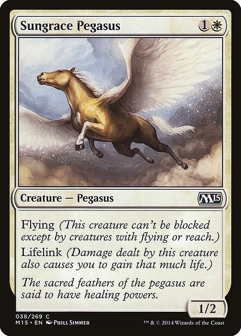 Sungrace Pegasus - Magic 2015 - 38