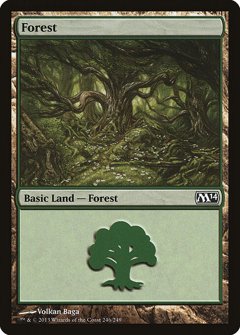 Forest - Magic 2014 - 246