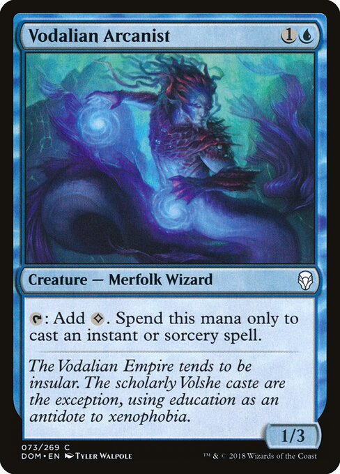 Vodalian Arcanist - Dominaria - 73