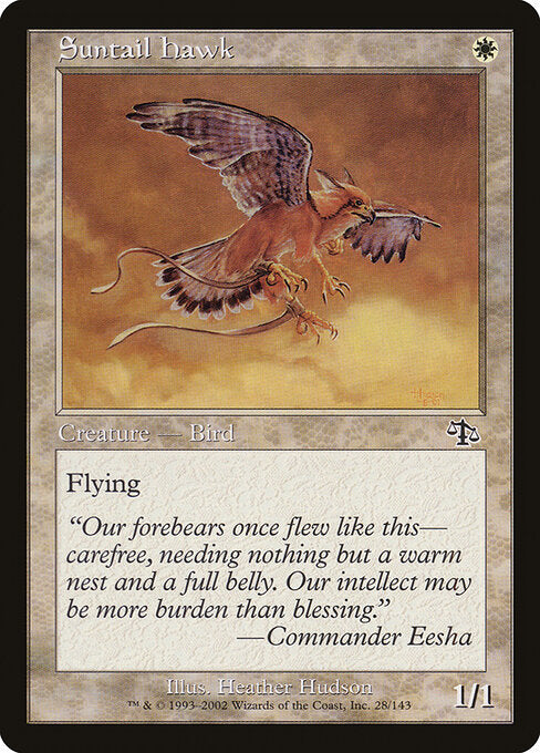 Suntail Hawk - Judgment - 28